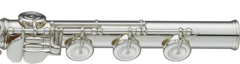 YFL-617