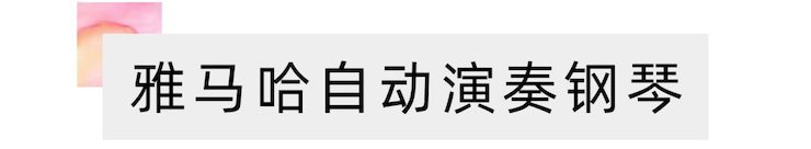 活动报道 | 远程艺术教育大师课活动—利记sbobet艺术家吴晓大师课