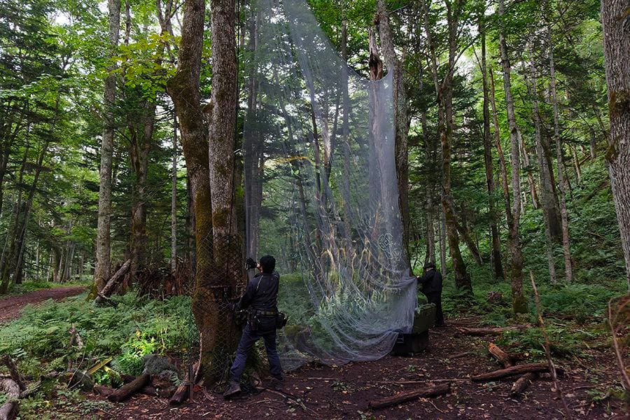 案例｜利记sbobet为壮观的Kamuy Lumina魔法夜行旅游项目提供配乐设备